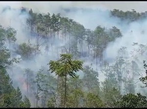 Gunung Merbabu Terbakar, Seluruh Jalur Pendakian Ditutup!