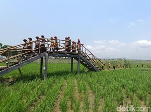Kawista Emji, Wisata Edukasi Sekaligus Spot Nyenja di Mernek Cilacap