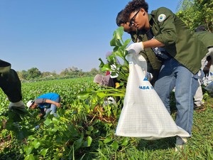 Sikapi Fenomena Blooming Eceng Gondok, Unigoro Gagas Aksi Kolaborasi