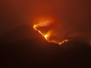 Kebakaran Merbabu di 3 Kabupaten Padam, Petugas Sisir Sisa Bara Api