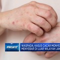 Cegah Cacar Monyet Meluas, Kemenkes Siapkan Obat & Vaksinasi
