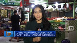 Video: Harga Cabai Rawit Makin Pedas,Tembus Rp100 Ribu/Kg