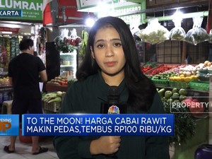  Harga Cabai Rawit Makin Pedas,Tembus Rp100 Ribu/Kg