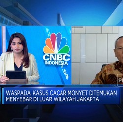 Kemenkes Deteksi 24 Kasus Cacar Monyet RI, Waspada Gejalanya!
