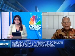 Kemenkes Deteksi 24 Kasus Cacar Monyet RI, Waspada Gejalanya!