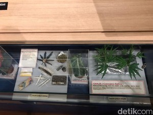 Ini Museum Narkoba Pertama di Indonesia