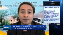 LPEM UI Ungkap Sebab RI Bisa Gagal Jadi Negara Maju 2045