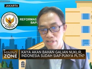 RI Tak Kunjung Punya Pembangkit Nuklir, Apa Penyebabnya?