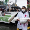 Ribuan Anak-Wanita Mati di Gaza, Ini Ultimatum PBB ke Israel