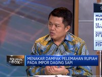 Strategi PT Berdikari Wujudkan RI Swasembada Daging Sapi