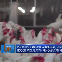 Subsidi Dicabut, Warga Malaysia Serbu Ayam