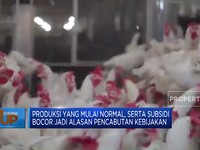 Subsidi Dicabut, Warga Malaysia Serbu Ayam