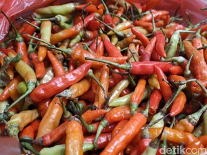 Harga Cabai Setan di Kulon Progo Makin Pedas, Tembus Rp 70 Ribu per Kg