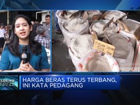 Harga Beras Terus Terbang, Ini Kata Pedagang