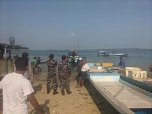 Hendak Cari Teripang, Nelayan Tewas Diterkam Aligator di Perairan Australia