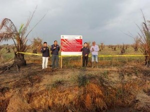 Gakkum KLHK Segel Lahan Terbakar di Kabupaten Banjar Kalsel
