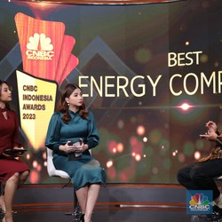 DEN Blak-blakan Soal Ketahanan Energi RI, Ini Kondisinya..