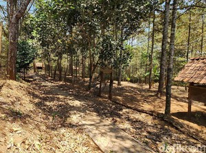 Kampung Duren Malang Mertanggung di Blora
