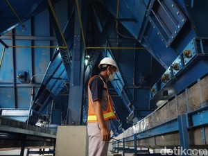 Ajinomoto Konversi Bahan Bakar Batu Bara ke Biomassa Perkuat Industri Hijau