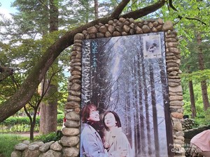 Ternyata Indah Sekali Nami Island, Lokasi Syuting Winter Sonata