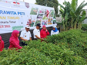 Heru Budi Hadiri Panen Raya 3,5 Ton Cabai Se-Jakarta Timur