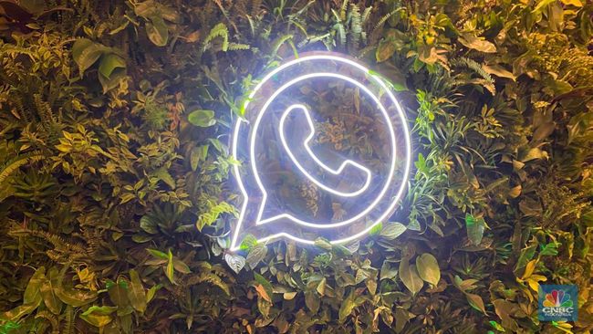 Cara Mudah Kembalikan Chat WhatsApp yang Sudah Terhapus - CNBC Indonesia