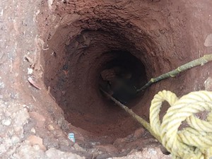 Aksi Petugas Damkar Selamatkan Pria Terjebak di Sumur 8 Meter