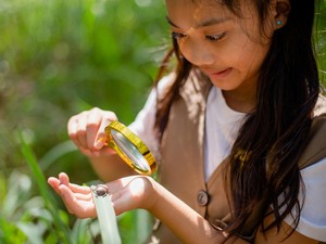 10 Ide Kegiatan Anak SD untuk Mengisi Libur Semester