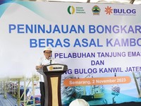 3.500 Ton Beras Kamboja Masuk RI, Pertama Kali Dalam 11 Tahun