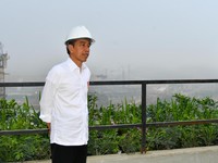 Tiba di IKN, Jokowi Resmikan RS Pusat IKN Hingga Tanam Pohom