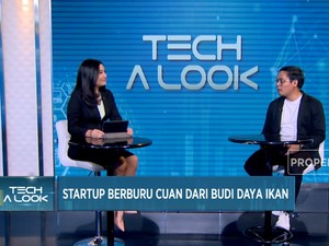 Kian Menjanjikan, Start Up Berburu Cuan Dari Sektor Perikanan