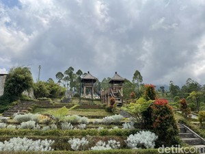 Keindahan Bunga Abadi di Taman Edelweis Bali