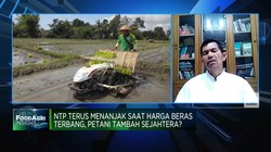 Rantai Pasok Terlalu Rumit, Ini Harapan Petani