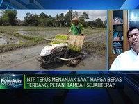 Rantai Pasok Terlalu Rumit, Ini Harapan Petani