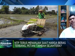 Rantai Pasok Terlalu Rumit, Ini Harapan Petani