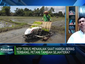 Rantai Pasok Terlalu Rumit, Ini Harapan Petani