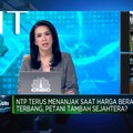NTP Naik Saat Harga Beras Terbang, Petani Tambah Sejahtera?