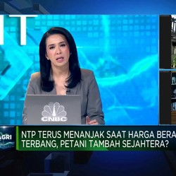 NTP Naik Saat Harga Beras Terbang, Petani Tambah Sejahtera?