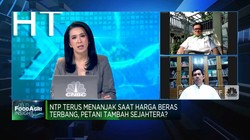 NTP Naik Saat Harga Beras Terbang, Petani Tambah Sejahtera?