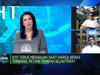 NTP Naik Saat Harga Beras Terbang, Petani Tambah Sejahtera?
