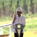 Yuk Investasi di IKN, Boleh Kuasai Lahan 190 Tahun Nonstop