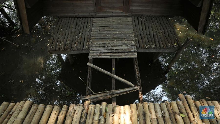 Taman Wisata Alam Angke, Kapuk (TWA) di Jakarta Utara mangrove memiliki luas sebesar 99,82 Ha yang dimanfaatkan untuk pariwisata dan rekreasi terbengkalai di sebagian lokasi, Kamis (2/11/2023). (CNBC Indonesia/Tri Susilo)