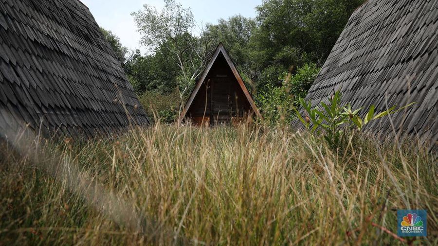 Taman Wisata Alam Angke, Kapuk (TWA) di Jakarta Utara mangrove memiliki luas sebesar 99,82 Ha yang dimanfaatkan untuk pariwisata dan rekreasi terbengkalai di sebagian lokasi, Kamis (2/11/2023). (CNBC Indonesia/Tri Susilo)