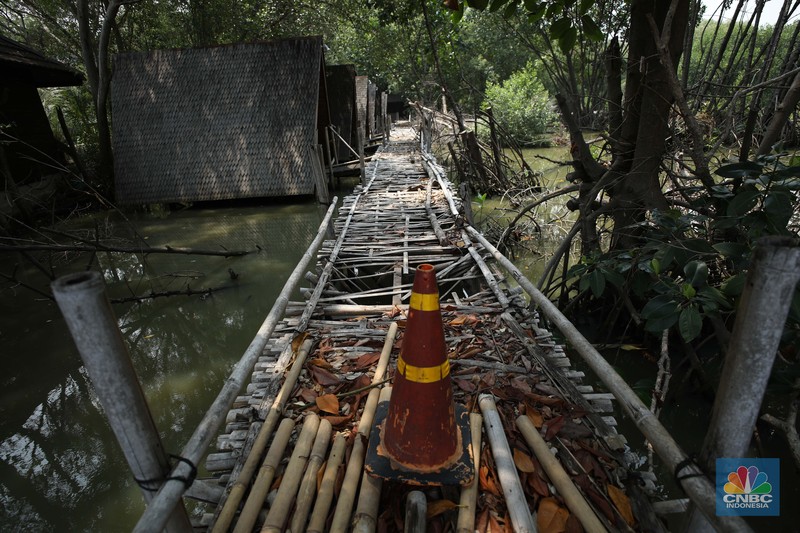 Taman Wisata Alam Angke, Kapuk (TWA) di Jakarta Utara mangrove memiliki luas sebesar 99,82 Ha yang dimanfaatkan untuk pariwisata dan rekreasi terbengkalai di sebagian lokasi, Kamis (2/11/2023). (CNBC Indonesia/Tri Susilo) Taman Wisata Alam Angke, Kapuk (TWA) di Jakarta Utara mangrove memiliki luas sebesar 99,82 Ha yang dimanfaatkan untuk pariwisata dan rekreasi terbengkalai di sebagian lokasi, Kamis (2/11/2023). (CNBC Indonesia/Tri Susilo)