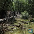 Pohon Sulit Bernapas, Masa Depan Manusia di Bumi Mengerikan