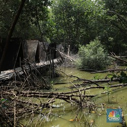 Pohon Sulit Bernapas, Masa Depan Manusia di Bumi Mengerikan