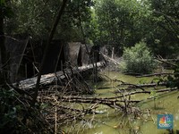 Pohon Sulit Bernapas, Masa Depan Manusia di Bumi Mengerikan