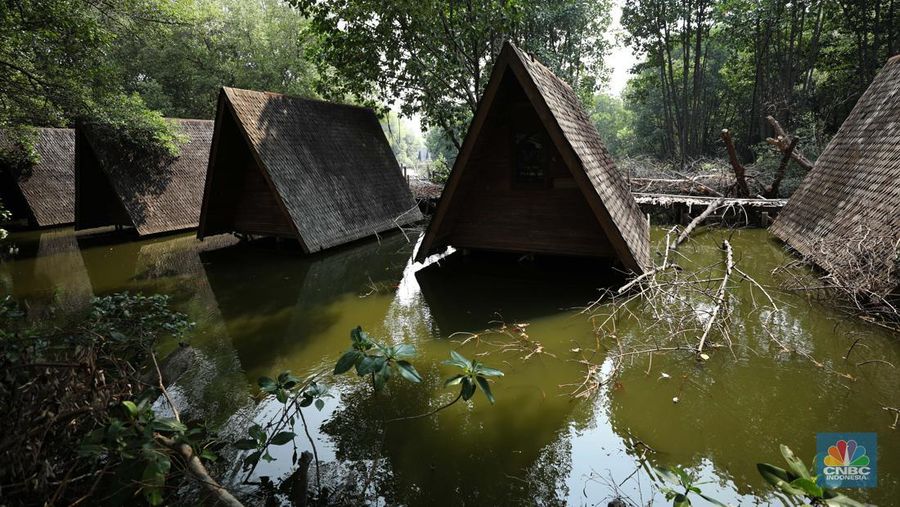 Taman Wisata Alam Angke, Kapuk (TWA) di Jakarta Utara mangrove memiliki luas sebesar 99,82 Ha yang dimanfaatkan untuk pariwisata dan rekreasi terbengkalai di sebagian lokasi, Kamis (2/11/2023). (CNBC Indonesia/Tri Susilo)
