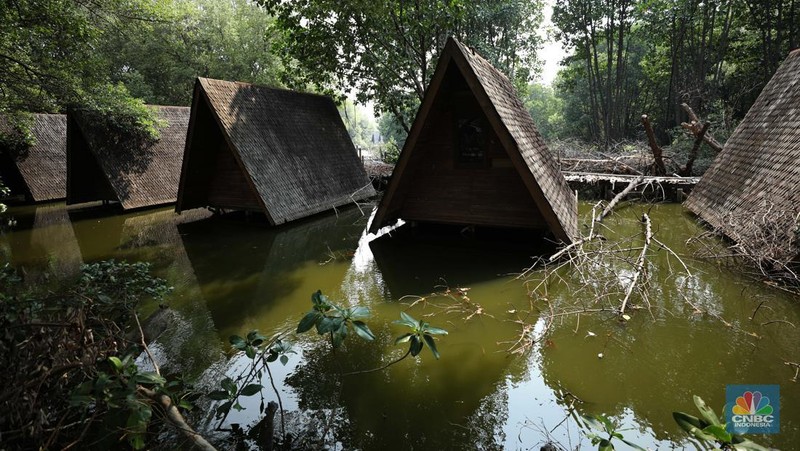 Taman Wisata Alam Angke, Kapuk (TWA) di Jakarta Utara mangrove memiliki luas sebesar 99,82 Ha yang dimanfaatkan untuk pariwisata dan rekreasi terbengkalai di sebagian lokasi, Kamis (2/11/2023). (CNBC Indonesia/Tri Susilo)