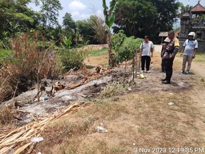 Kaki Bocah SD di Jembrana Terpanggang Api Sekam Saat Main Bola